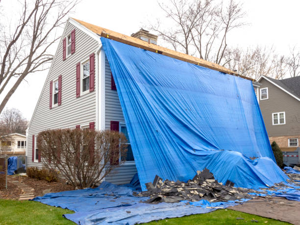 Best Basement Cleanout  in Southmont, PA